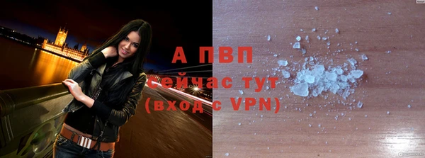 гидра Жердевка