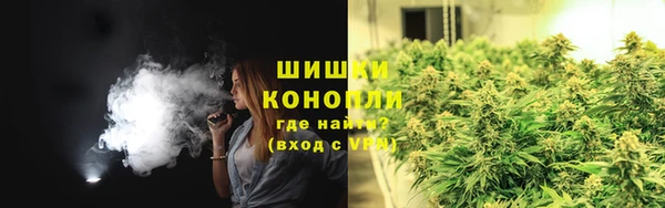 гидра Жердевка