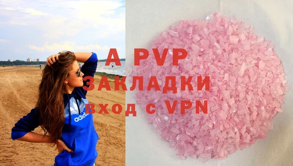 стаф Абаза