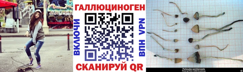 хочу   Кировград  Псилоцибиновые грибы ЛСД 